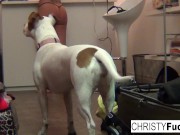 Three sexy pornstars play with each other's pussies