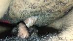 Playlist Thumb 94406151-1