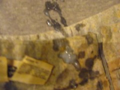 B.B.B.preview Victoria Sin "1st cum(with RePo)"(cumshot only) AVI no SloMo