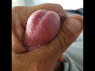 Precum e Gozada