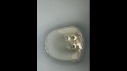 Gespoelde kuisheidssleutels