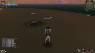 AFK at sand crabs