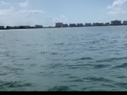 Preview 4 of Fucking and Sucking on a sailboat in St. Petersburg Florida