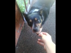 Me giving Kara the fat cunt some ham