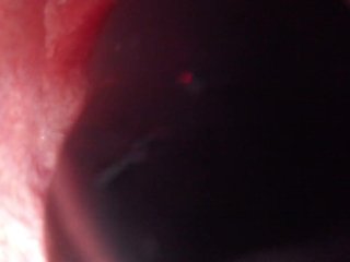 Internal View Bad Dragon Flint Cum and Pumps my Guts Full