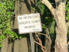 Fucking and Sucking by a creek in Venice Florida