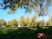 Preview 6 of I love to masturbate and cum in public park / Miriam Prado
