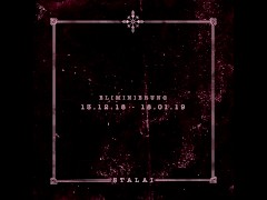 Stalai - Bibi Bloxbuster
