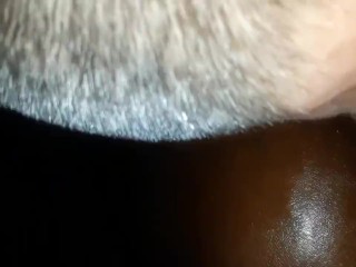 Ebony Playing with her Pussy getting Streched and Sucking White Cock