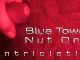 Blue Towel Nut one