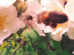 HOW TO MAKE A FLOWER CUM IN 3 SECONDS