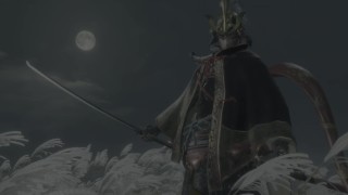 audap's Sekiro Shadows Die Twice PC 4K HDR P2