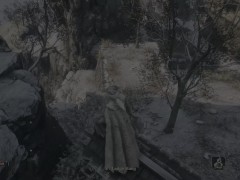 audap's Sekiro Shadows Die Twice PC 4K HDR P3 - Screenshot 3 of 16 - Sekiro