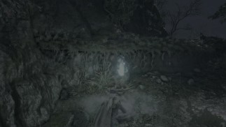 audap's Sekiro Shadows Die Twice PC 4K HDR P5