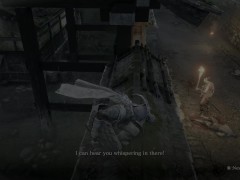 audap's Sekiro Shadows Die Twice PC 4K HDR P6