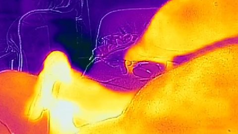 Flir Thermal solo man masturbating