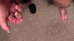 Afspeellijst thumbnail 148189922-2