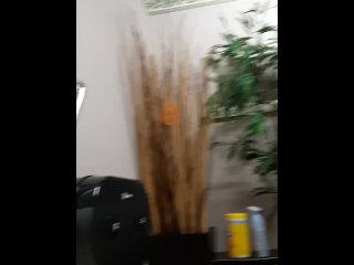 Peeing at a sushi restaurant