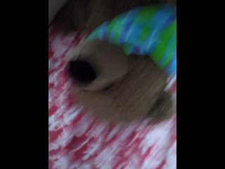 Fucking My Teddy