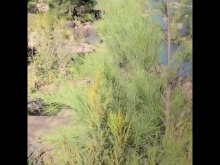 Nude Beach Risky Mutual Masturbation Sex & Cumshot on Tits