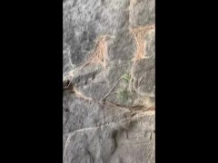 Nude Outdoor Sunbathing Swim and Cumshot