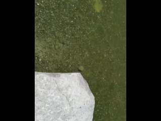 Gem Stoned ~ Cute little feet in a lake