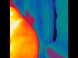 amateur, verified amateurs, infared, thermogram