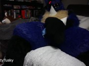 Preview 4 of Pent up Lucario Jacks Off