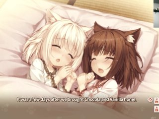 para, nekopara, catgirls, blowjob