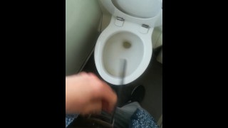 Unpacking and pissing in the clogged train toilet