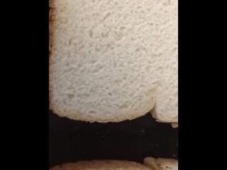 bread, sfw, yum, toast