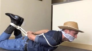 Hogtied vaquero amordazado en apretados wranglers