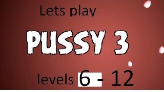 Компьютерная игра - pussy 3 - уровни 6-12