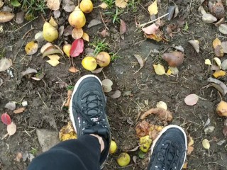 Дробление с помощью Fila Disruptor