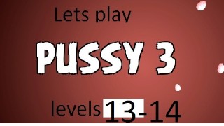 Компьютерная игра - pussy 3 - уровни 13-14