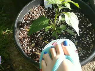 Foot Model Bella's Flip Flops Gardening Tour