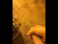 Soft cock stroking in a grow room. 