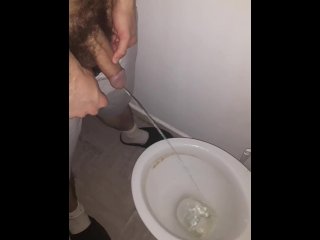 pissing toilet, solo male, fetish, big dick