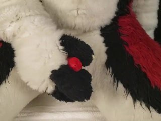 HUGE Pumped Balls Fursuit Cumshot FULL VIDEO