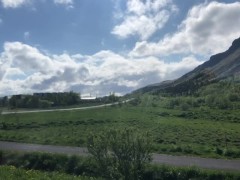 WEEK IN REVIEW #5 | HARPERMADI