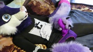 Furry, Murrsuit, Fursuit Gay