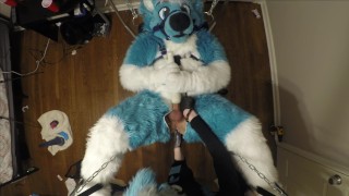 Murrsuiter Receives A Forceful Fist From A Dominatrix