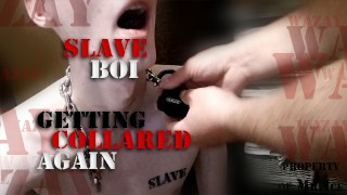 Slaveboi Being Collared Once More