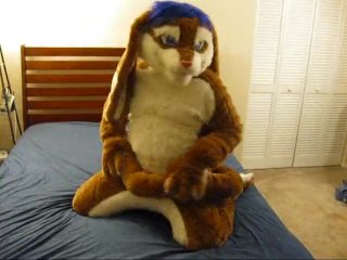 A Cabbit showing off and playing with himself