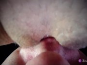 Preview 5 of POV Closeup Licking Creamy Pussy and Clit.Real Pulsating Squirt Orgasm