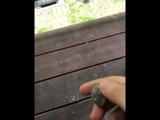 Almost Caught Throwing a Pebble!!!