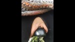 Playlist Thumb 103207171-2
