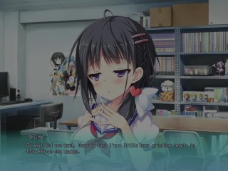 hentai, visiual novel, sankaku renai, gaming