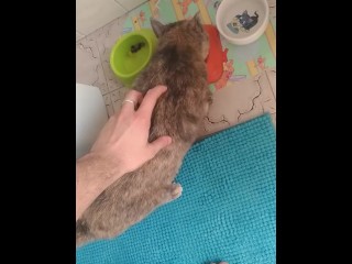 Massage my Hot Pussycat