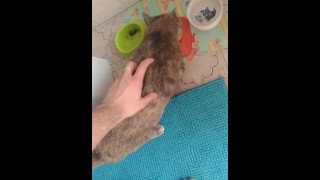 massage my hot pussycat